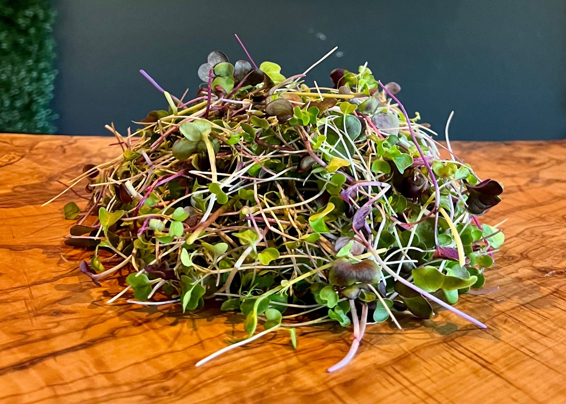 Dunn Pea, Sunflower, Spicy Anti-inflammatory Mix, Radish